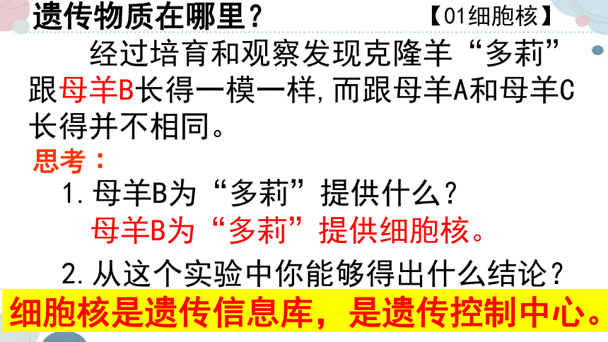 20.2 性状遗传的物质基础-2023-2024学年八年级生物上册同步教学课件（北师大版）(共33张PPT)