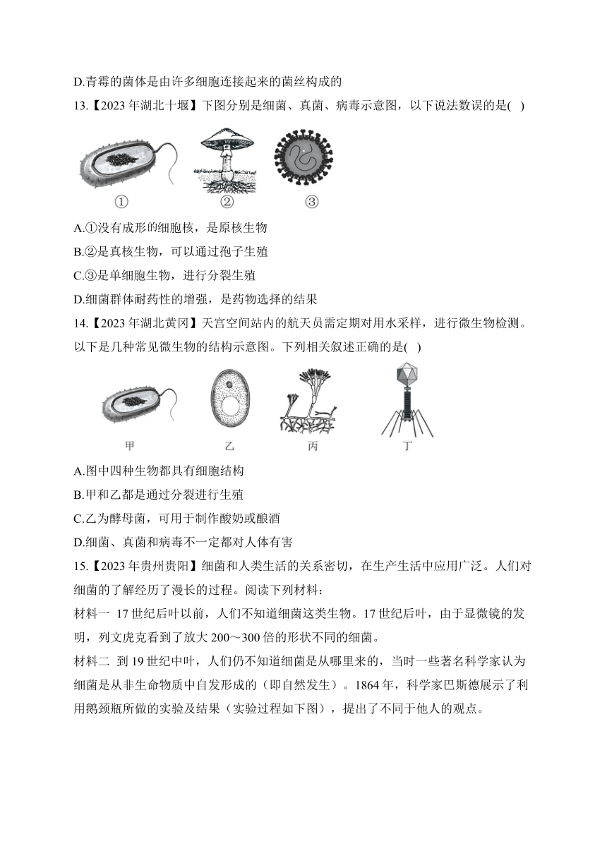 （15）生物圈中的微生物——2023年中考生物真题专项汇编（含答案）