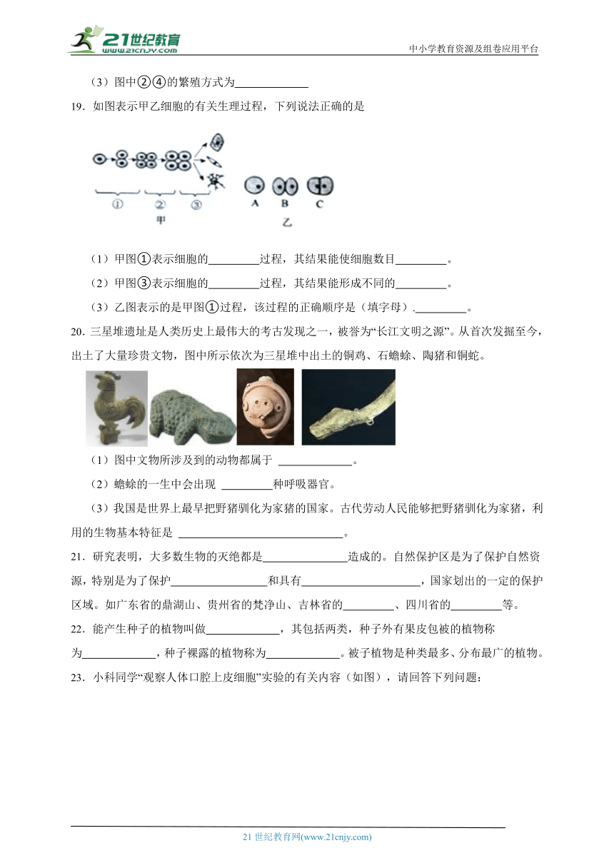 华师大版科学七年级期中测试卷1（含答案）