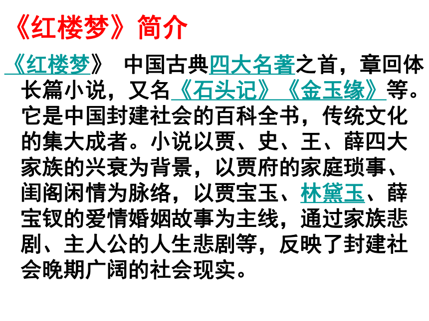 2023—2024学年统编版语文九年级上册第25课《刘姥姥进大观园》课件（共22张PPT）