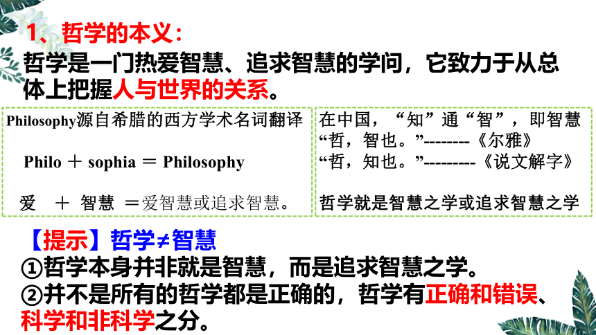 高中思想政治统编版（部编版）必修4 哲学与文化1.1 追求智慧的学问课件（39张ppt）