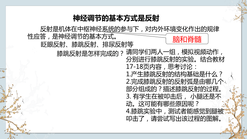 1.1 神经调节（第4课时）（共19张PPT1个视频）-高二生物(苏教版2019选择性必修1)