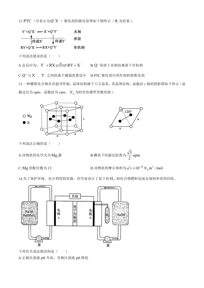 湖北省高中名校联盟2023-2024学年高三下学期3月月考化学试题（含答案）