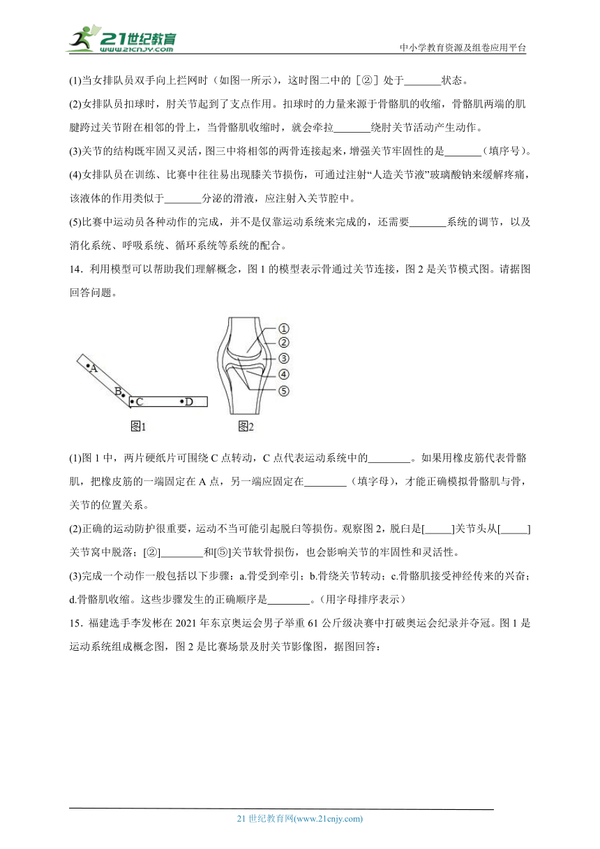 2023-2024学年初中生物济南版七年级上册期末复习专题11——动物的运动（含解析）