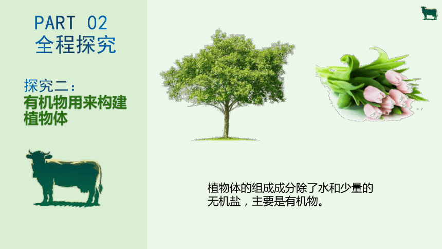 3.4 绿色植物是生物圈中有机物的制造者-【备课精选】2023-2024学年七年级生物上册同步教学精品课件(共20张PPT)