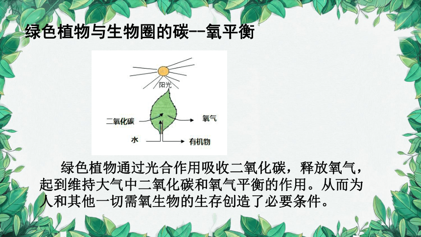 北师大版生物七年级上册3.7.1绿色植物在生物圈中的作用课件(共17张PPT)