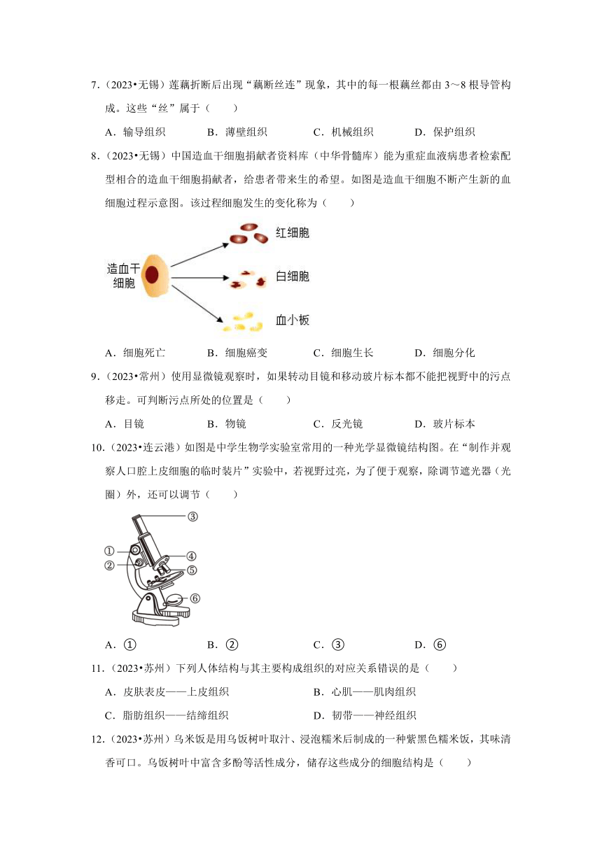 专题1生命体的结构层次——2022-2023年江苏省中考生物试题分类（含解析）