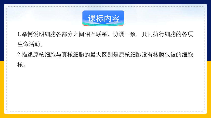 2.2.4细胞的结构和生命活动——细胞各部分结构分工合作 (共40张PPT)苏教版2019必修1