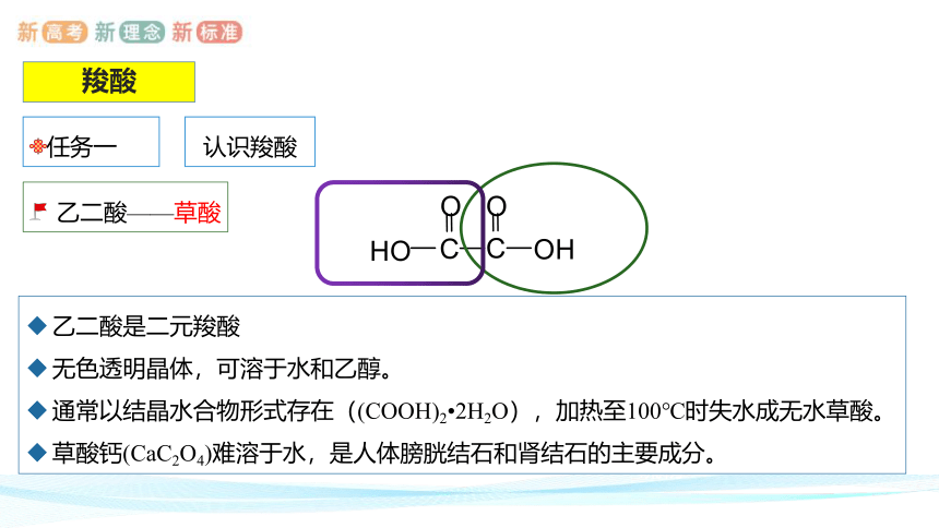 3.4.1  羧酸-高二化学课件(共32张PPT)(人教版2019选择性必修3)