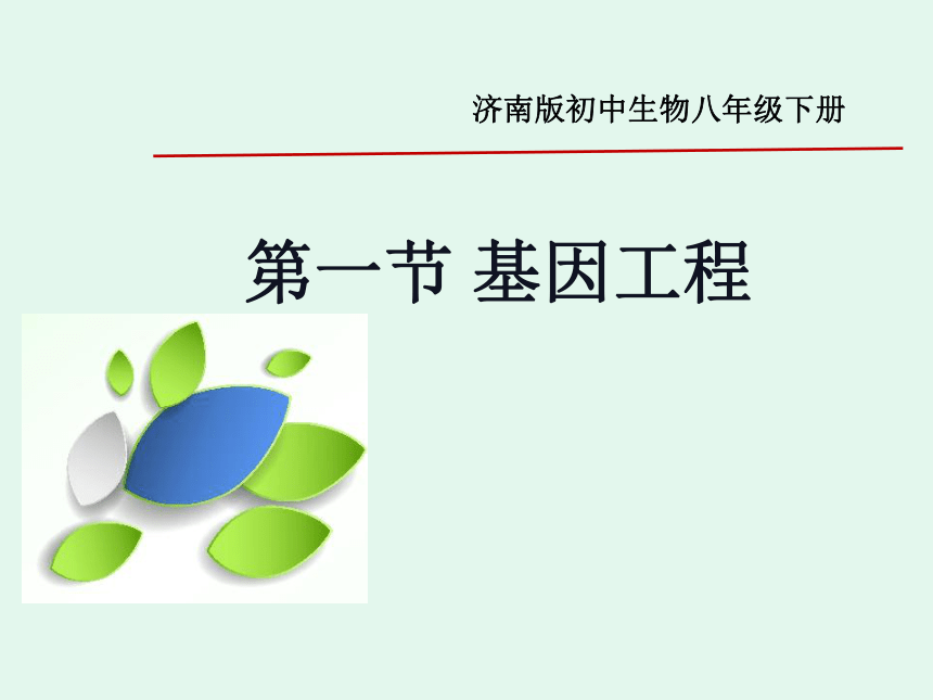 7.2.1基因工程 课件(共32张PPT+内嵌视频1个) 济南版八年级生物下册