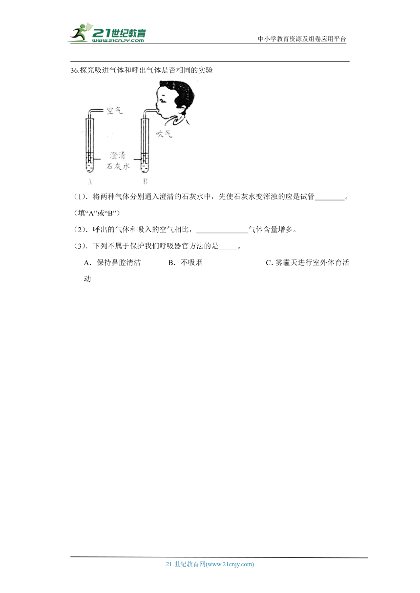 青岛版（五四制）四年级上册科学期末试题（二）（含答案）