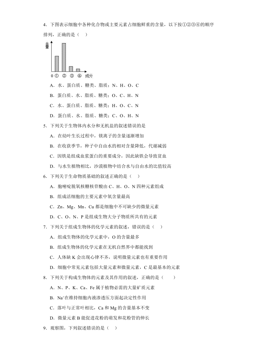 1.1细胞中的元素和无机化合物练习（解析版）