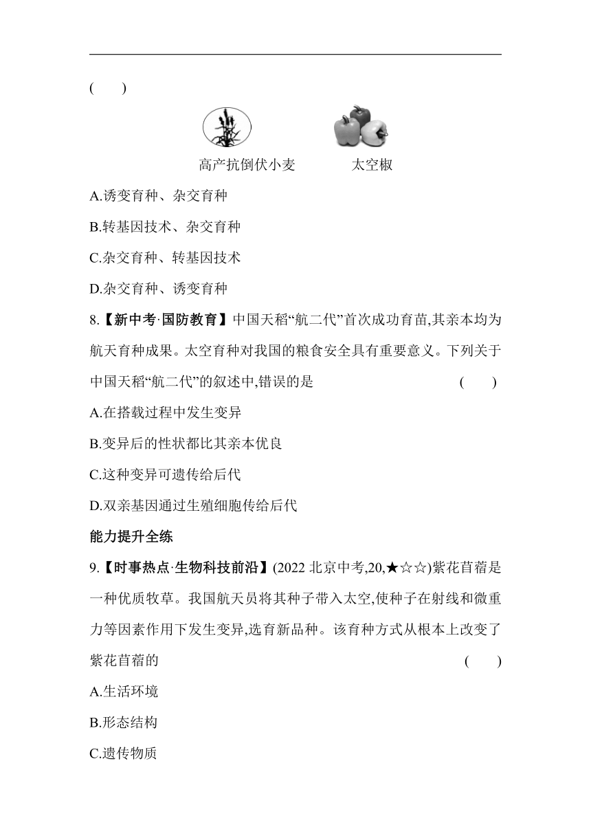 11.4生物的变异素养提升练（含解析）北京版生物八年级上册