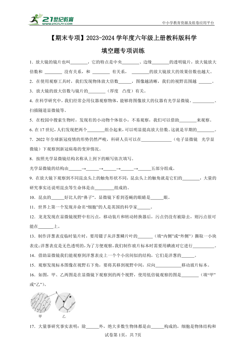 【期末专项】教科版（2017秋）2023-2024学年度六年级上册科学填空题专项训练（含答案）