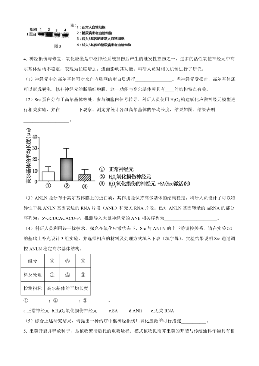 上海市上交附高2023-2024学年高三上学期开学摸底考试生物学试题（原卷版）