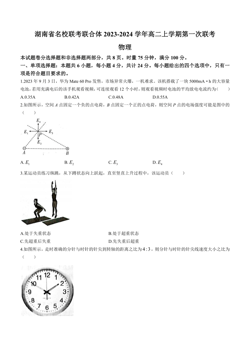 湖南省名校联考联合体2023-2024学年高二上学期第一次联考物理试题（含解析）