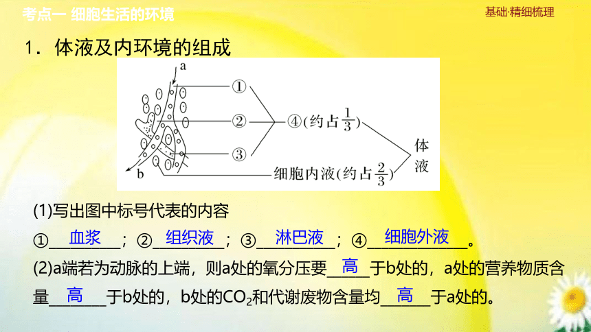 高三生物总复习课件-选择性必修1 稳态与调节：第29讲　人体的内环境与稳态(共29张PPT)