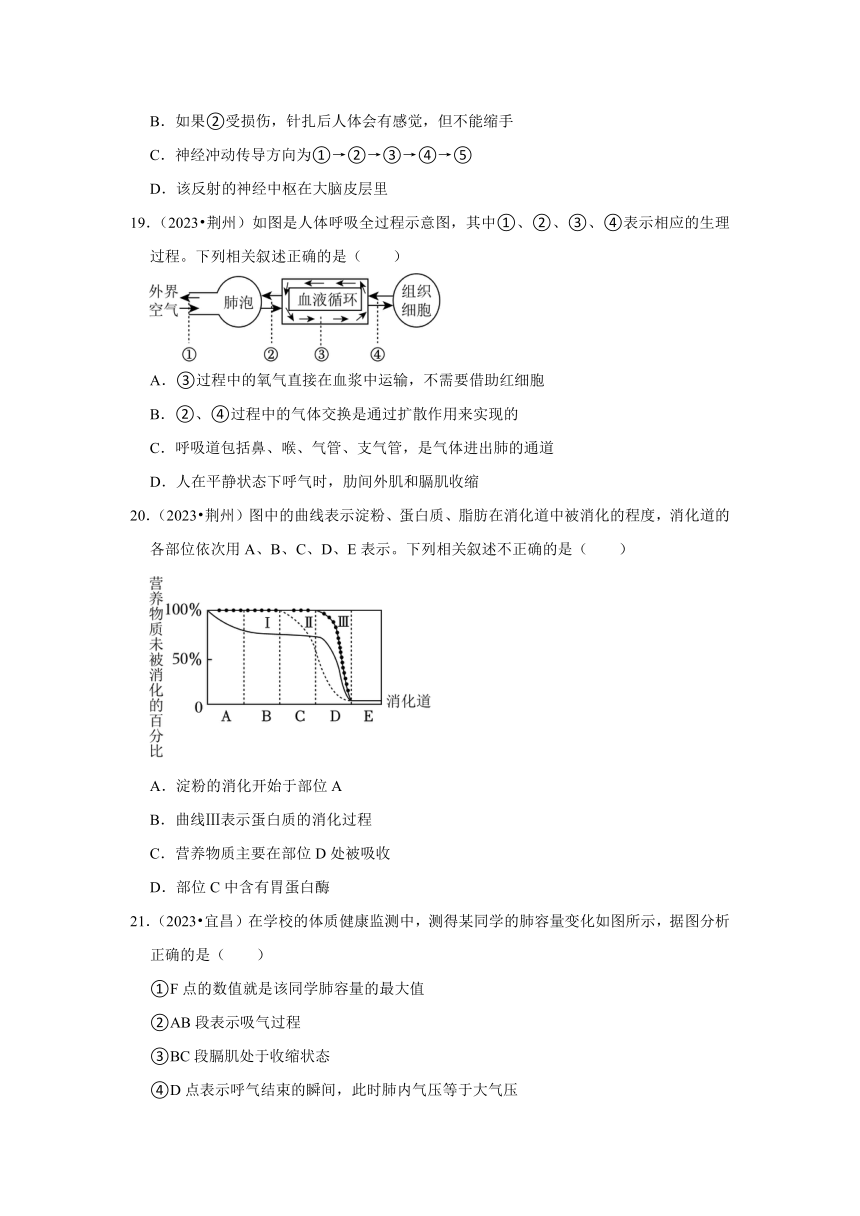 专题4人体系统——2022-2023年湖北省中考生物试题分类（word版+解析版）