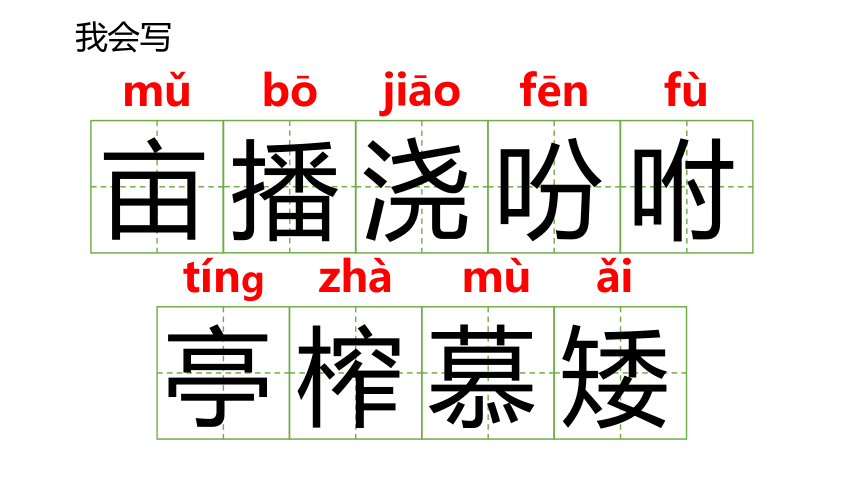 2落花生课件(共35张PPT)