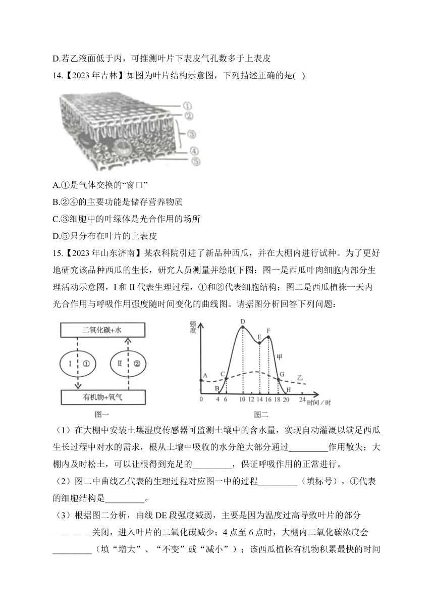 （4）绿色植物的三大作用——2023年中考生物真题专项汇编（含答案）