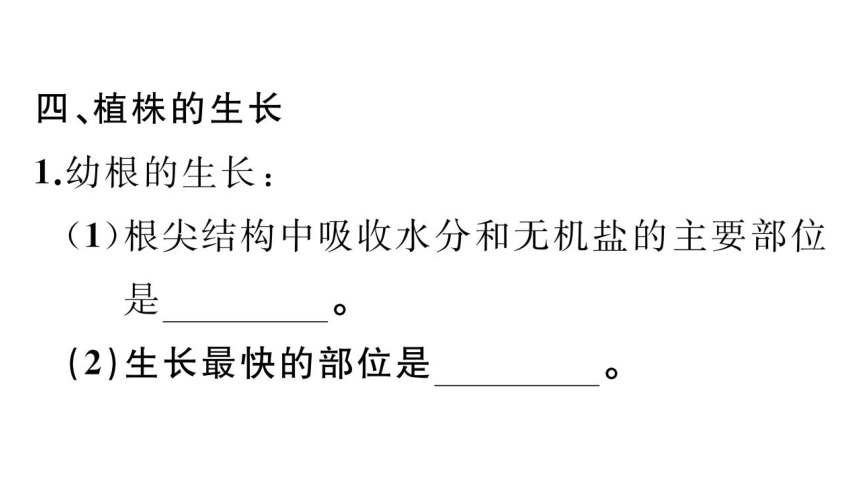 七年级上册期末复习专项五  植物类群和被子植物的一生课件(共42张PPT)