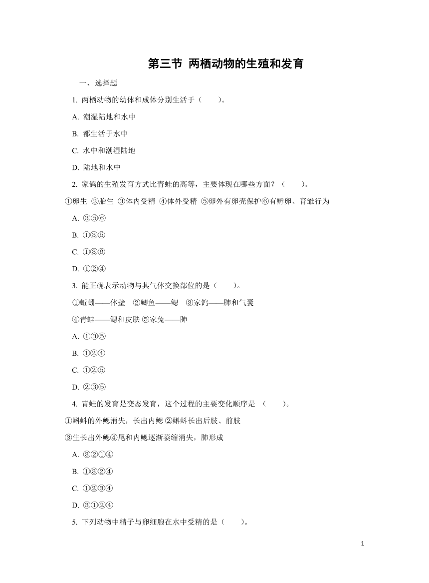 7.1.3 两栖动物的生殖和发育 同步练习（含答案）人教版八年级生物下册