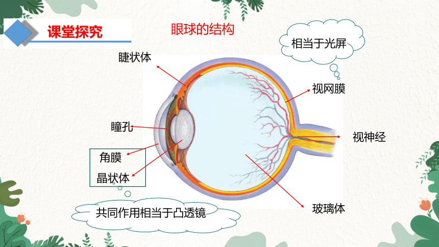 沪科版物理八年级上册 第四章第六节 第1课时 眼睛与眼睛课件(共16张PPT)