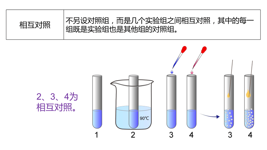 5.1.1酶的作用和本质 课件（共22张PPT）