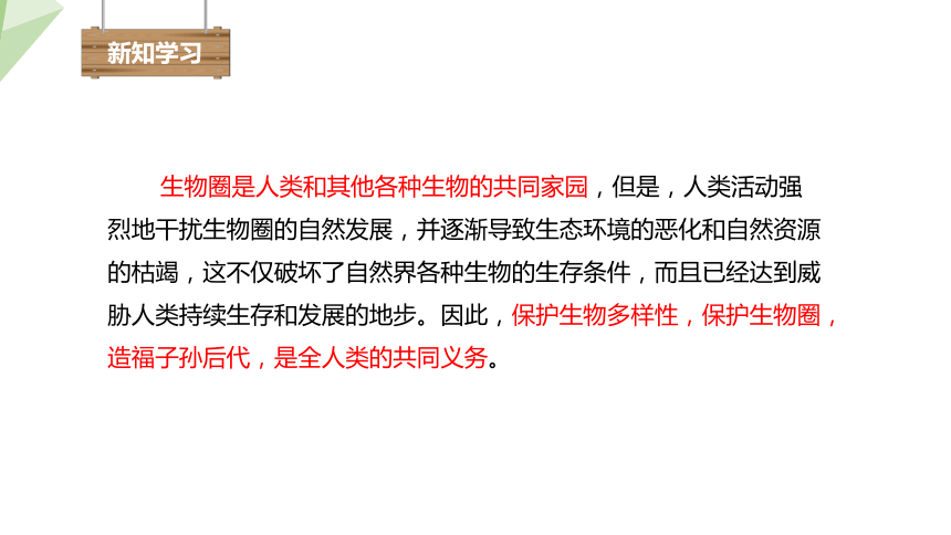 4.14.2 保护生物圈是全人类的共同义务 课件(共15张PPT) 2023-2024学年初中生物北师版七年级下册