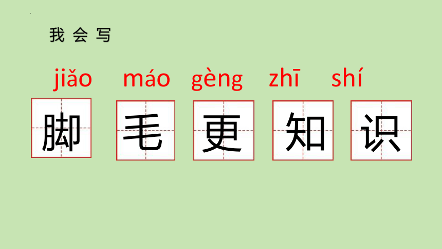 3 植物妈妈有办法 课件(共20张PPT)