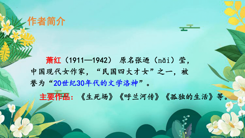 2祖父的园子 课件(共19张PPT)