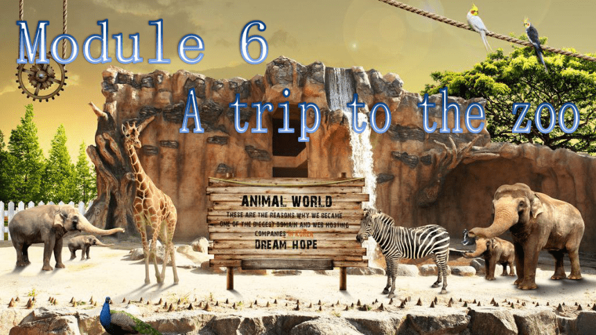 Module 6 A trip to the zoo  Unit3 Language in use.课件 (共29张PPT)