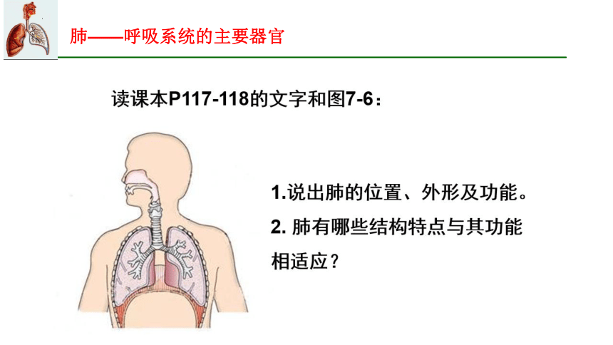 7.2 人体的呼吸（第一课时）2023-2024学年七年级生物上册同步精品课件（苏科版）(共25张PPT)+视频素材