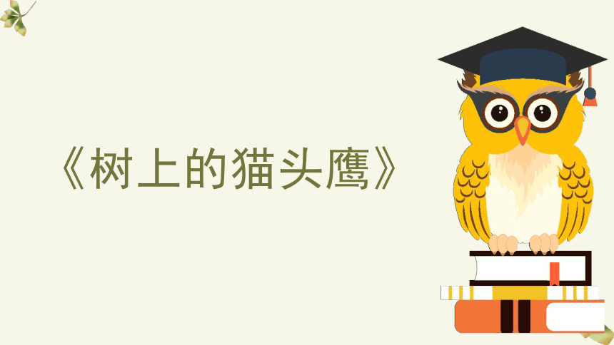 美术社团课程 树上的猫头鹰课件(共18张PPT)小学延时服务