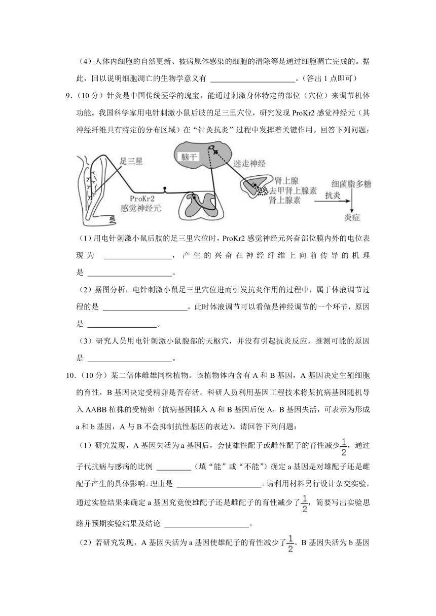 四川省泸州市重点中学2023-2024学年高三上学期开学考试生物学试卷（原卷版+解析版）