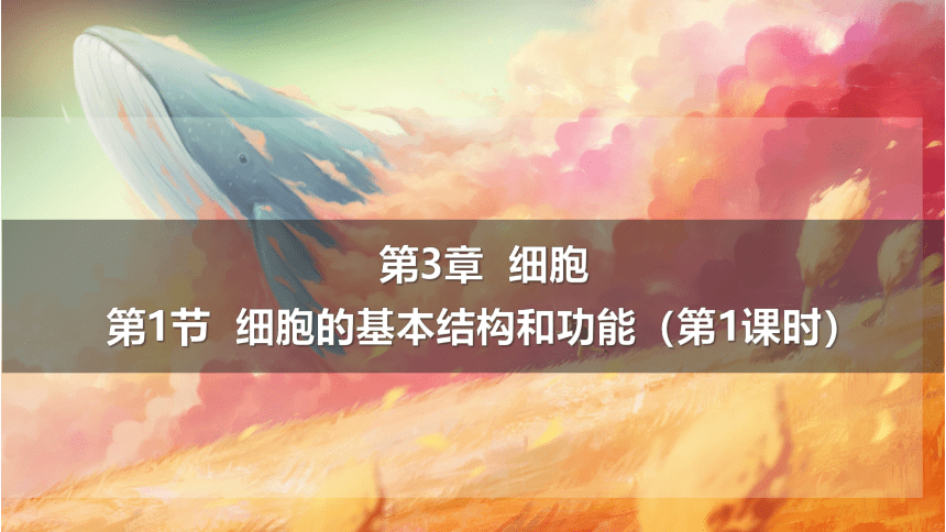 2.2.1细胞的基本结构和功能（第一课时）课件(共24张PPT)2023年秋人教版生物七年级上册