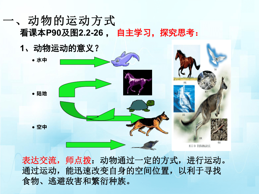 2.2.3动物的运动课件(共30张PPT)山东济南版2023-2024第一学期七年级生物上册
