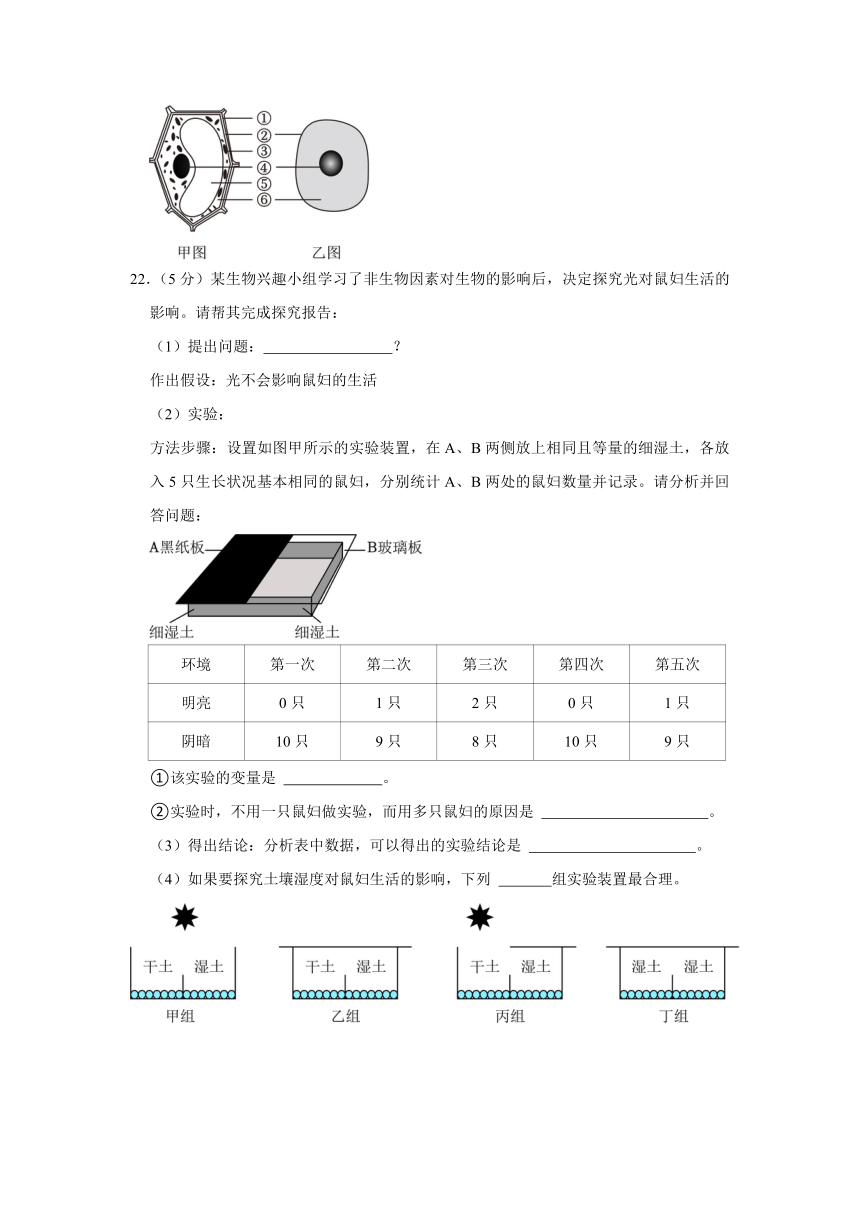 2022-2023学年江苏省盐城市景山中学七年级（上）期中生物试卷（含解析）