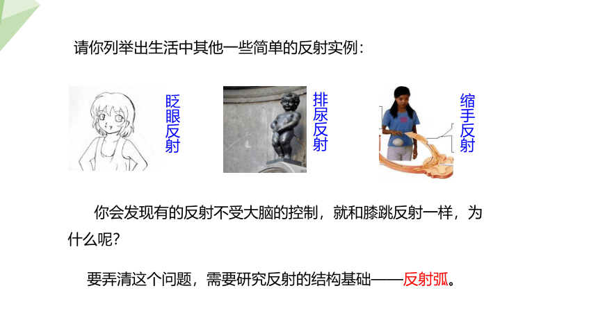 4.6.3 神经调节的基本方式 课件(共19张PPT)2023-2024学年初中生物人教版七年级下册