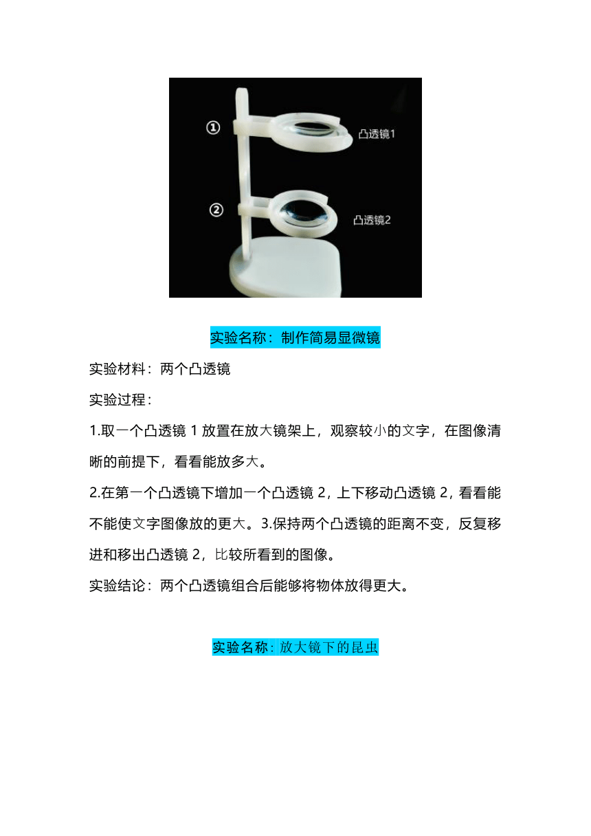 教科版科学六年级上册实验报告