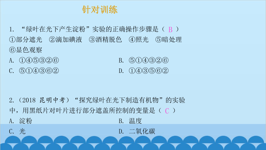 3.6.3 植物光合作用的实质课件(共21张PPT)苏教版生物七年级上册