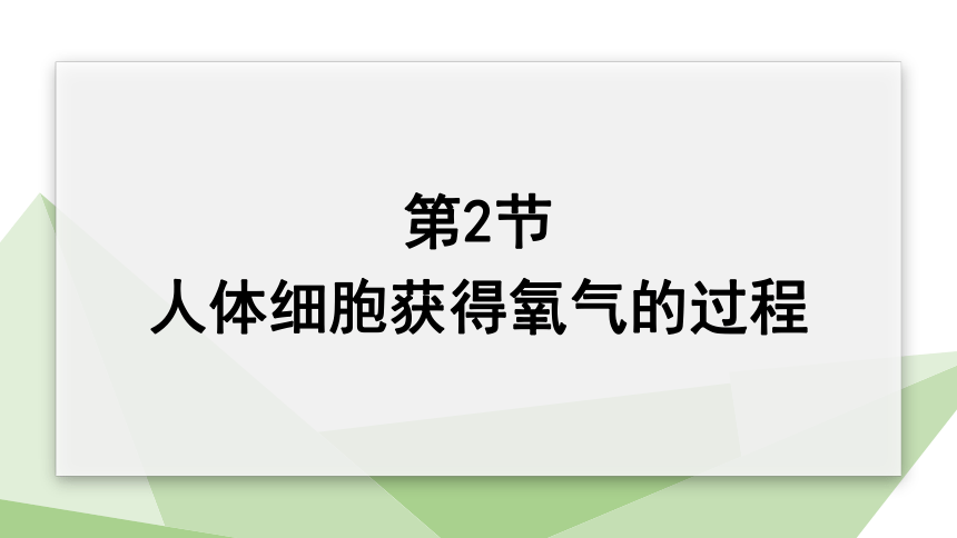 4.10.2 人体细胞获得氧气的过程 课件 （共29张PPT）2023-2024学年初中生物北师版七年级下册