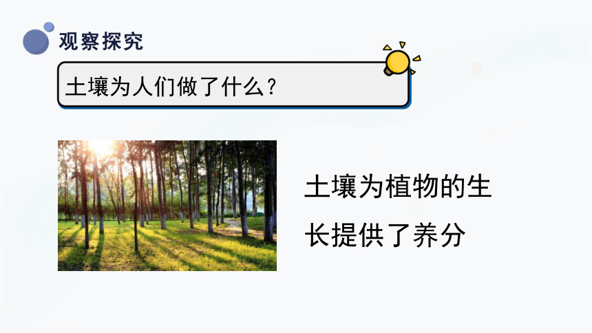 三年级上册科学3.4土壤的保护 课件(共32张PPT)