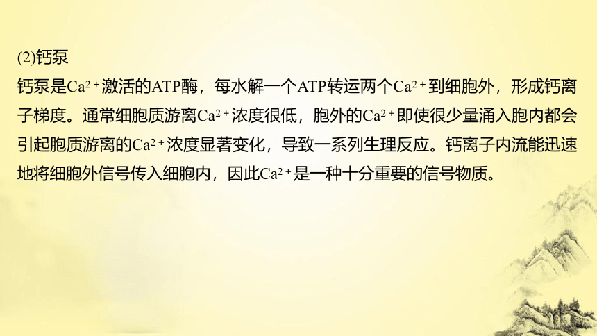 高考生物总复习微专题1 与细胞的物质输入和输出有关的热考题型(课件共25张PPT)