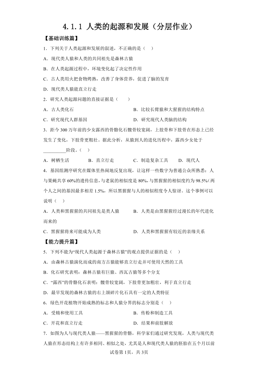 4.1.1人类的起源和发展 分层作业（含解析） 七年级生物下册人教版