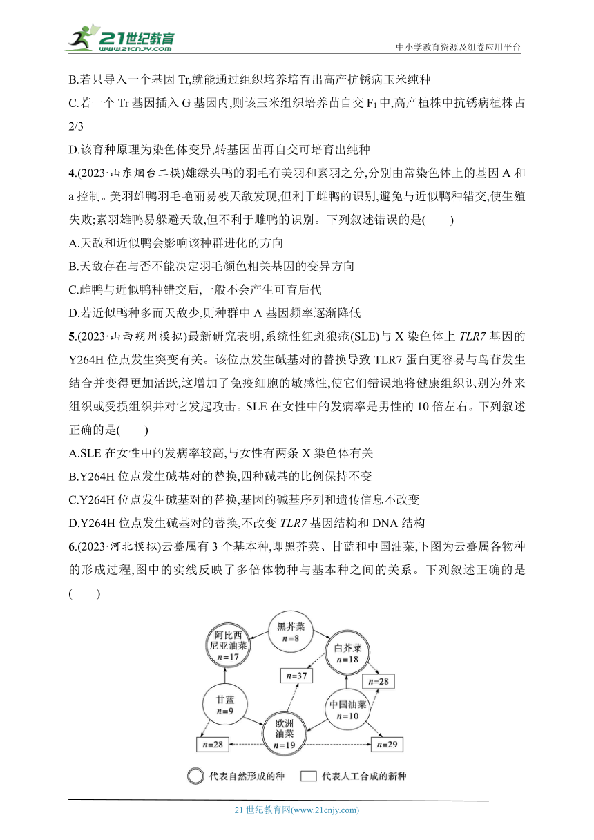 【备考2024】高中生物二轮专题练习  8.生物的变异、育种与进化（含解析）