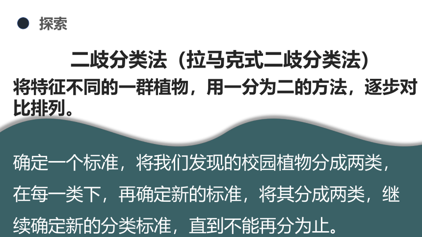 科学六年级下册教科版2.2制作校园生物分布图 课件(共13张PPT)