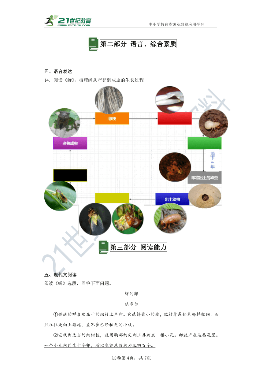 21蝉 分层作业（含答案解析）