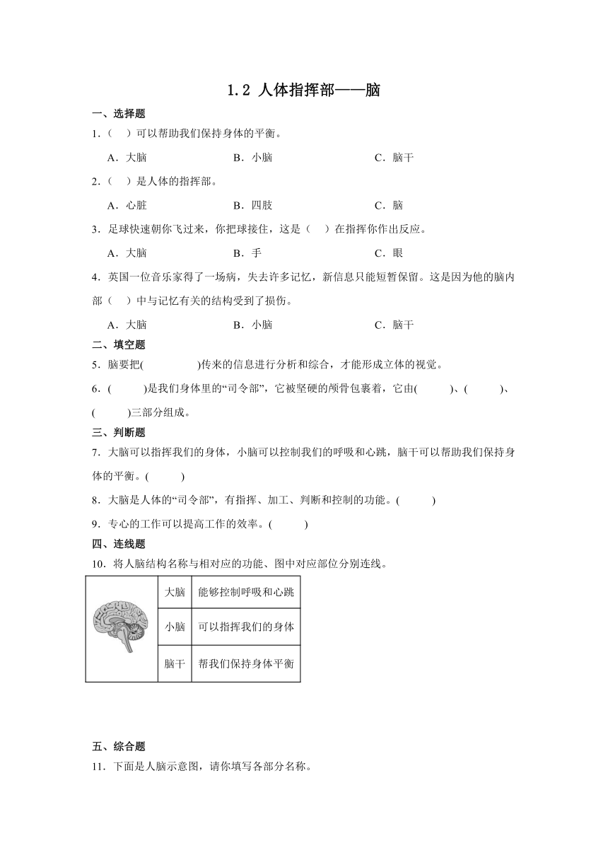 五年级科学上册湘科版1.2 人体指挥部——脑  同步练习（含解析）