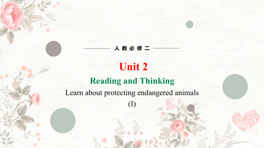 人教版（2019）必修 第二册Unit 2 Wildlife protection Reading and Thinking 课件 (共20张PPT 内嵌视频)